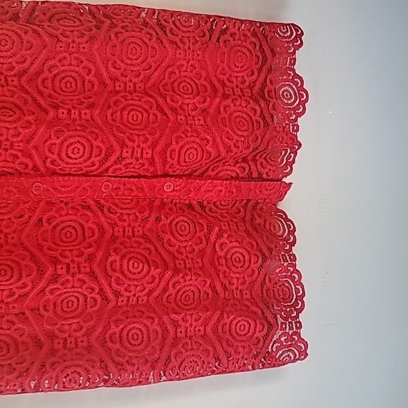 Ronni Nicole Lace Sleeveless Button Front Closure  Lace Hemline Dress SZ 10 - Picture 2 of 13